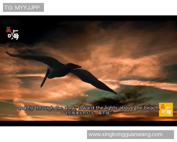 2026年3月份新闻对话杨静探索和平精英背后的成长与挑战之路